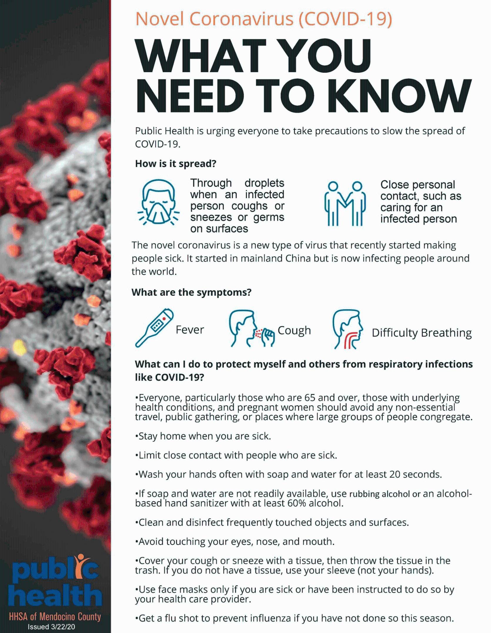 What You Need to Know